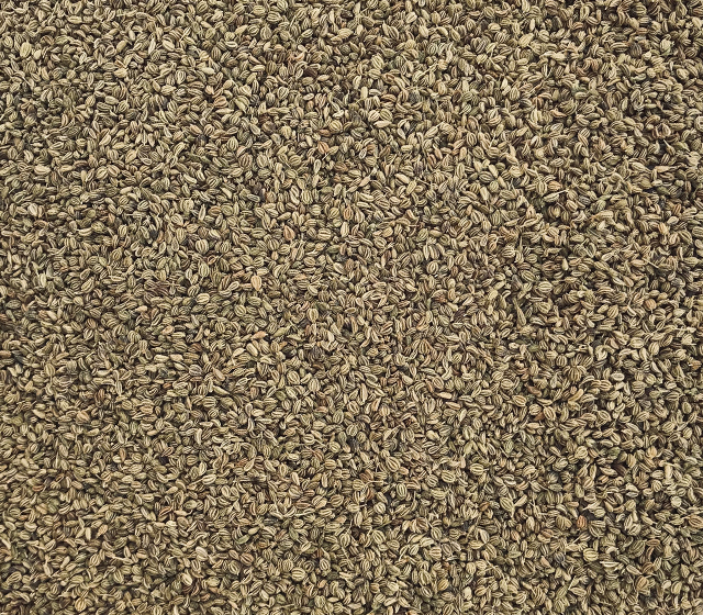 carom seeds