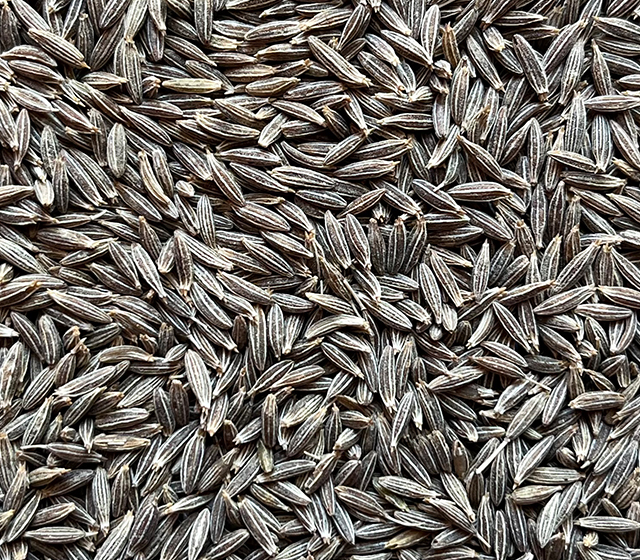 cumin seeds