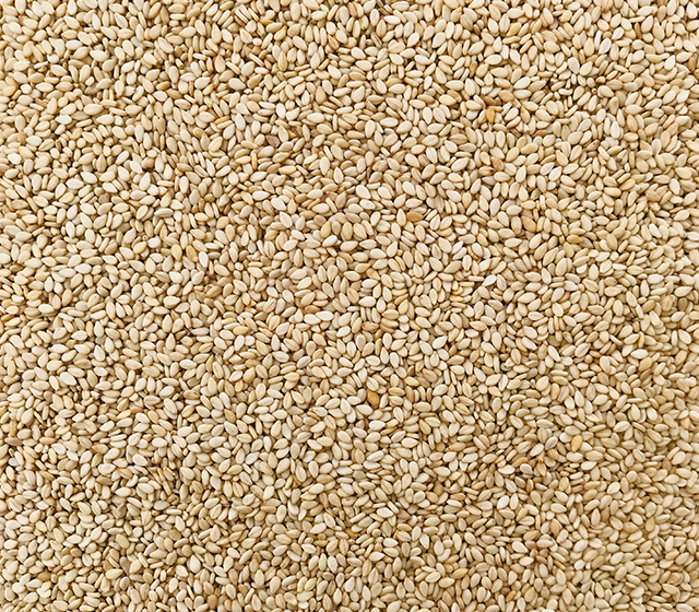 Sesame Seeds